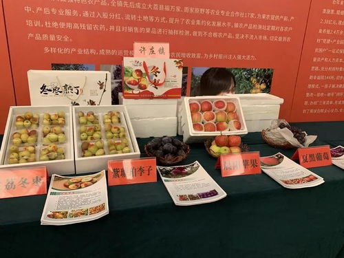 大荔冬棗進(jìn)軍上海市場(chǎng) 簽訂農(nóng)產(chǎn)品購(gòu)銷協(xié)議5.3萬噸