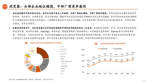 光伏產(chǎn)業(yè)全景圖 N型技術(shù)驅(qū)動(dòng)變革，一體化擴(kuò)產(chǎn)與競爭加劇